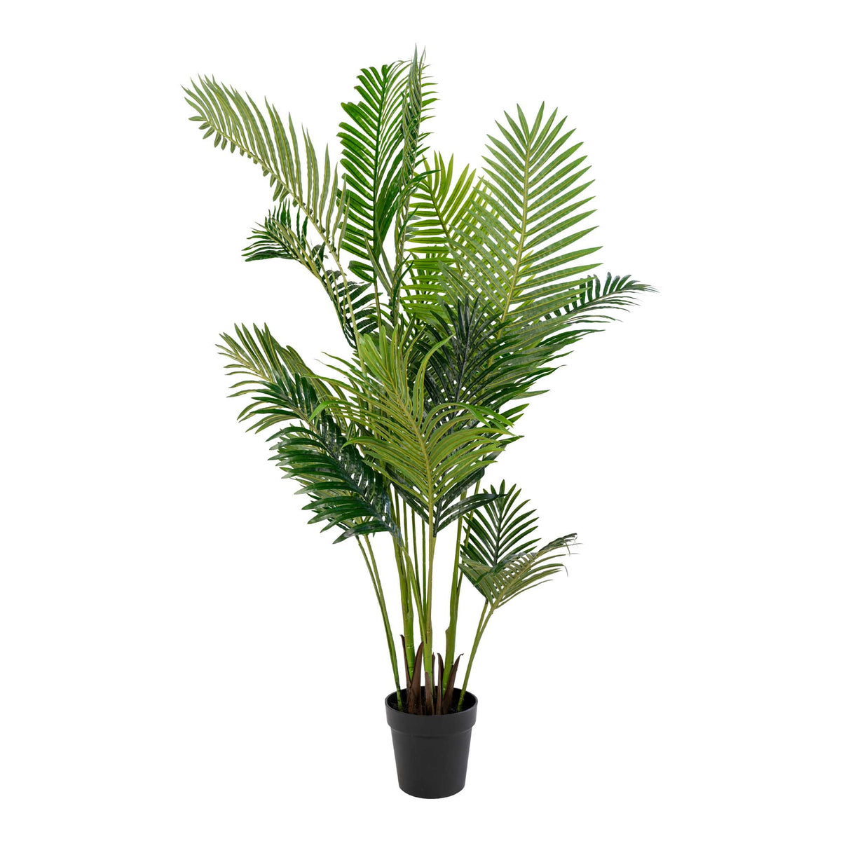 ARECA – דקל ארקה מלאכותי, גובה 175