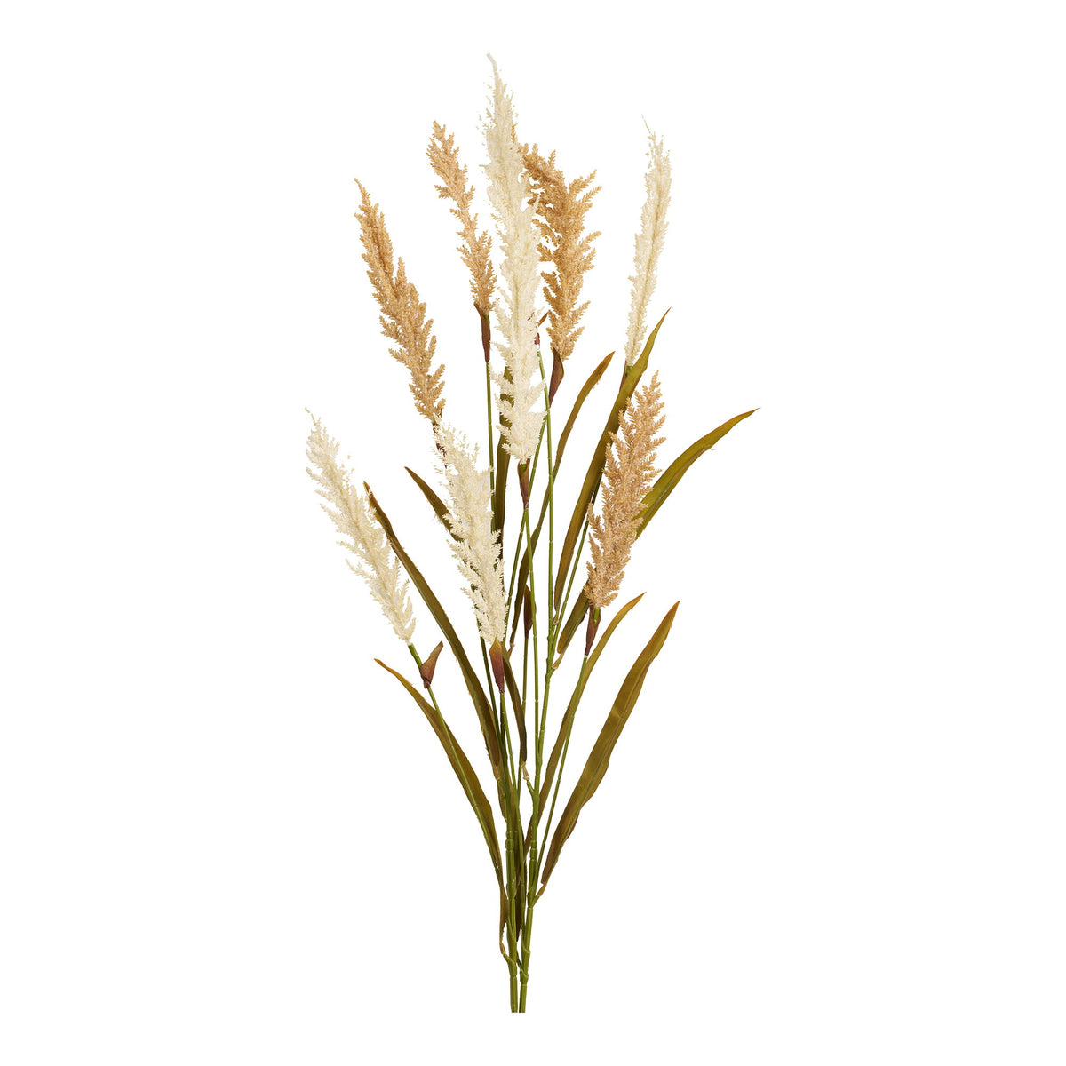 GRAS - מבט נוסף
