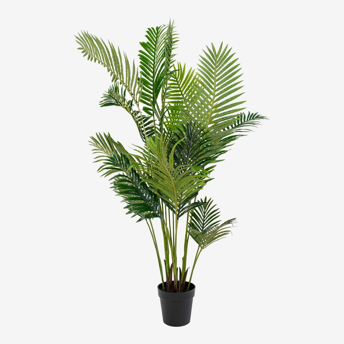 ARECA – דקל ארקה מלאכותי, גובה 175